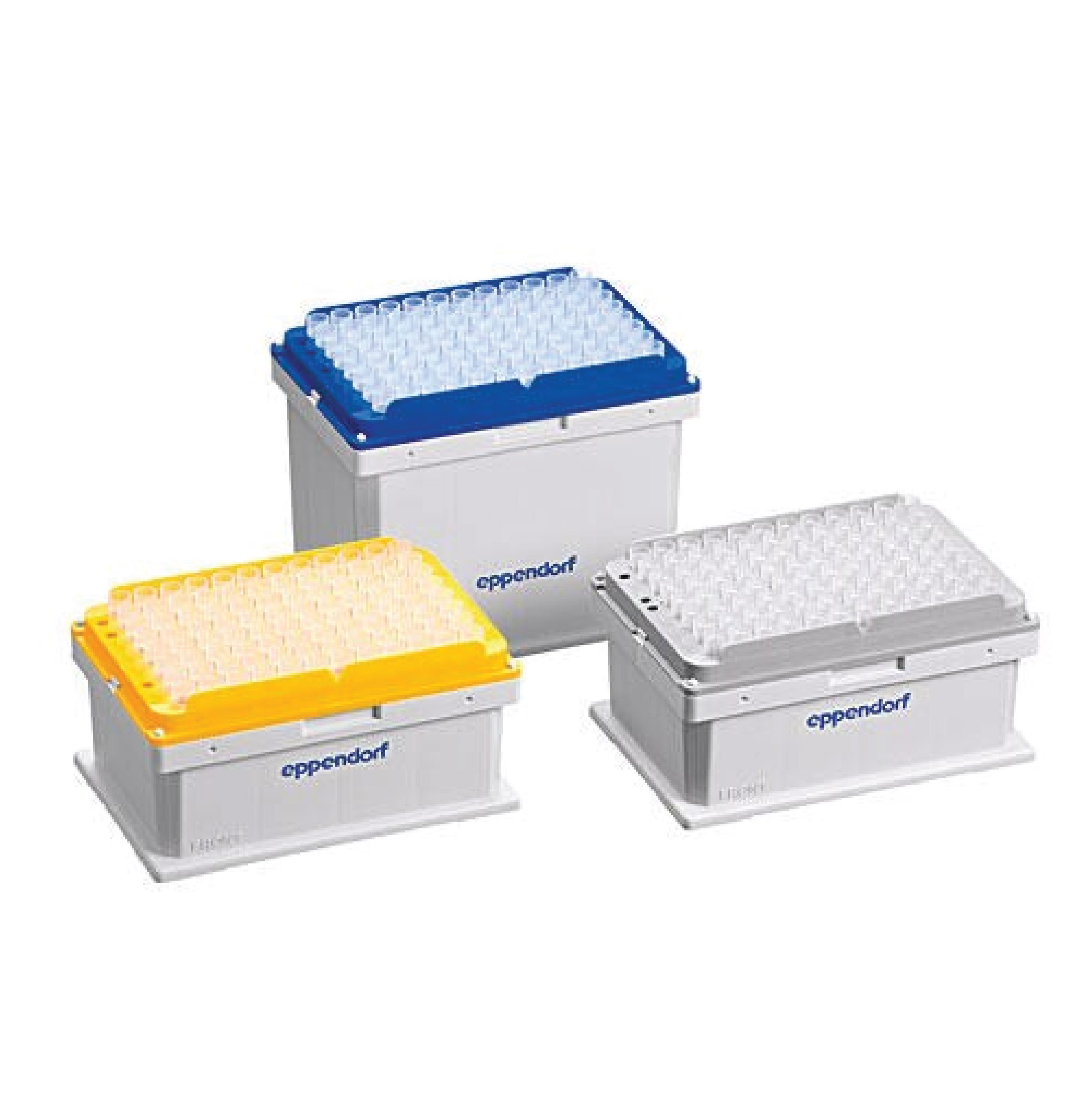 Eppendorf™ epT.I.P.S.® Motion Pipette Tips ,with filter, PCR clean and sterile, 1000 µL, 960 tips (10 rack x 96 tips)