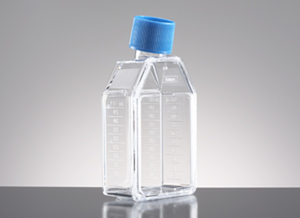 Corning® BioCoat® Collagen I 25cm² Rectangular Canted Neck Cell Culture Flask with Vented Cap (10/cs)