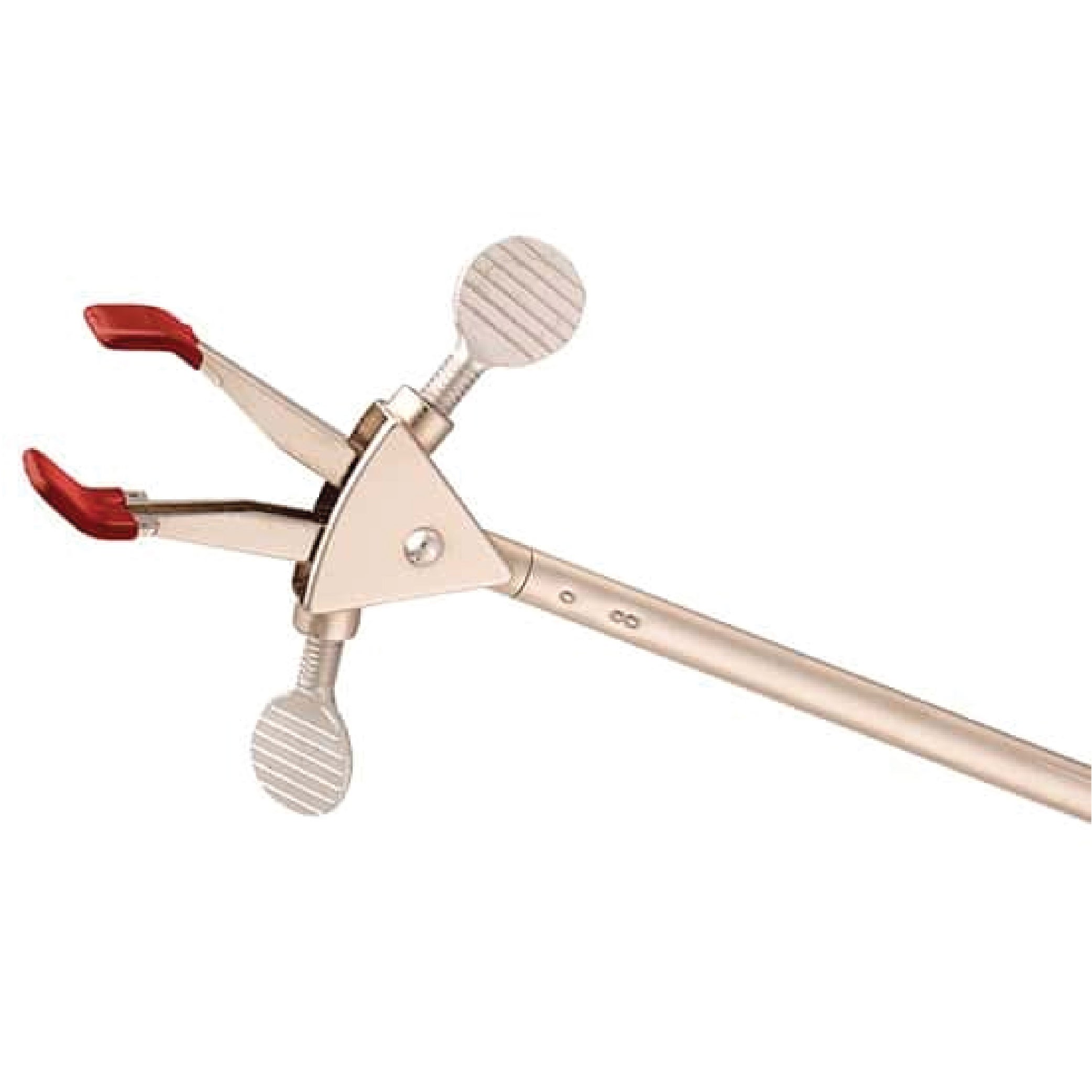 Cole-Parmer Essentials Two-Prong Extension Clamp, Dual Adjustment, Medium, Stainless Steel