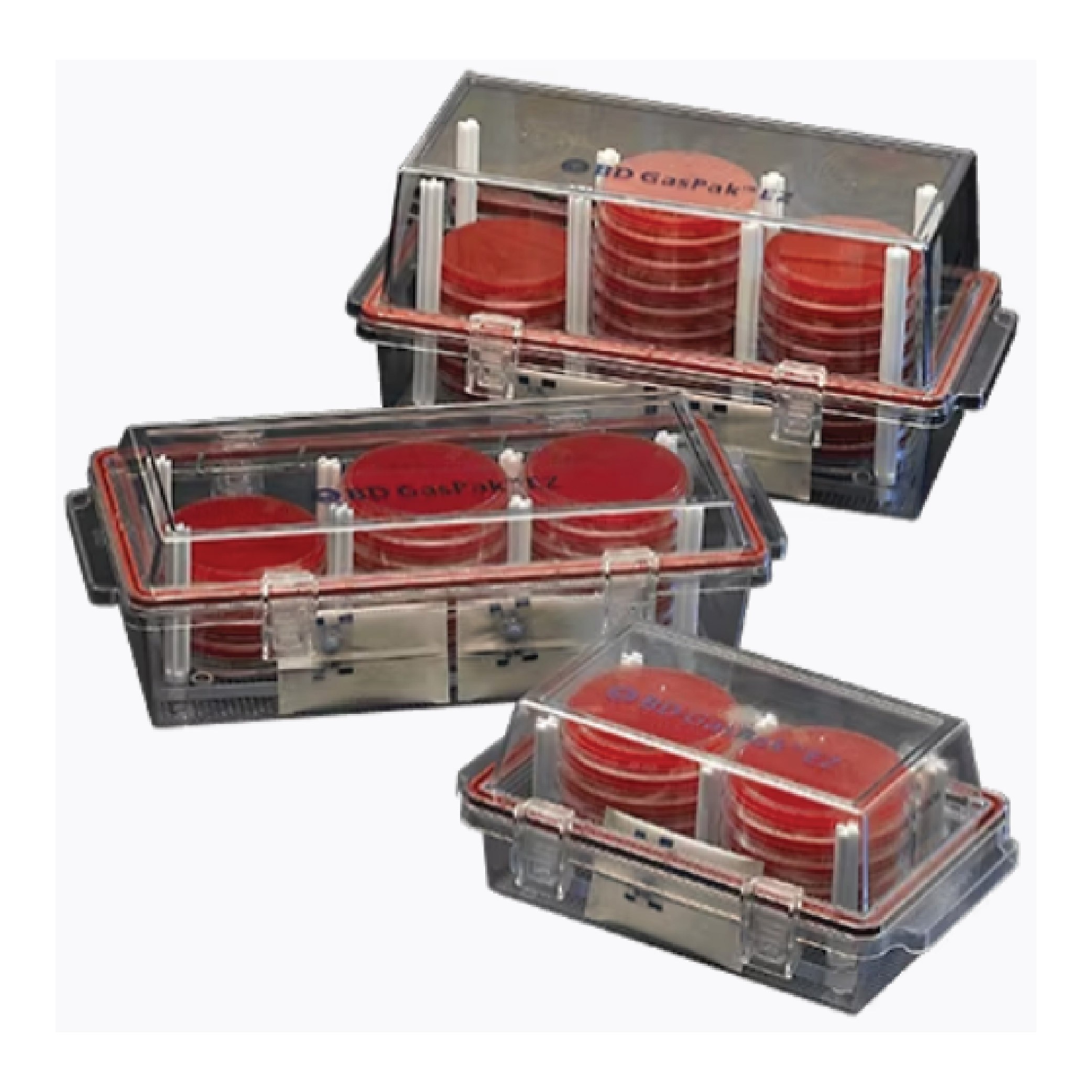 BD GasPak™ EZ Anaerobe Container System Sachets with Indicator