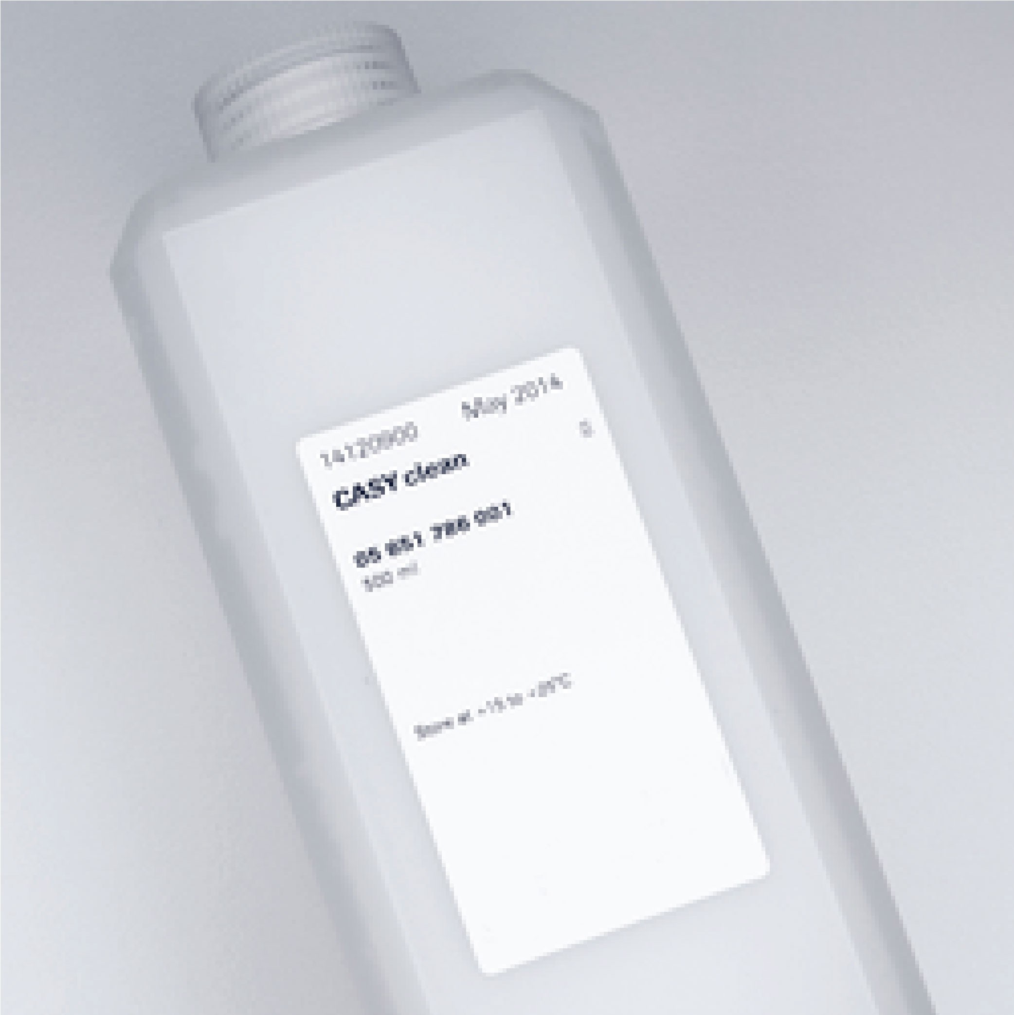 CASYclean 2 x 500 ml (2 Bottles)
