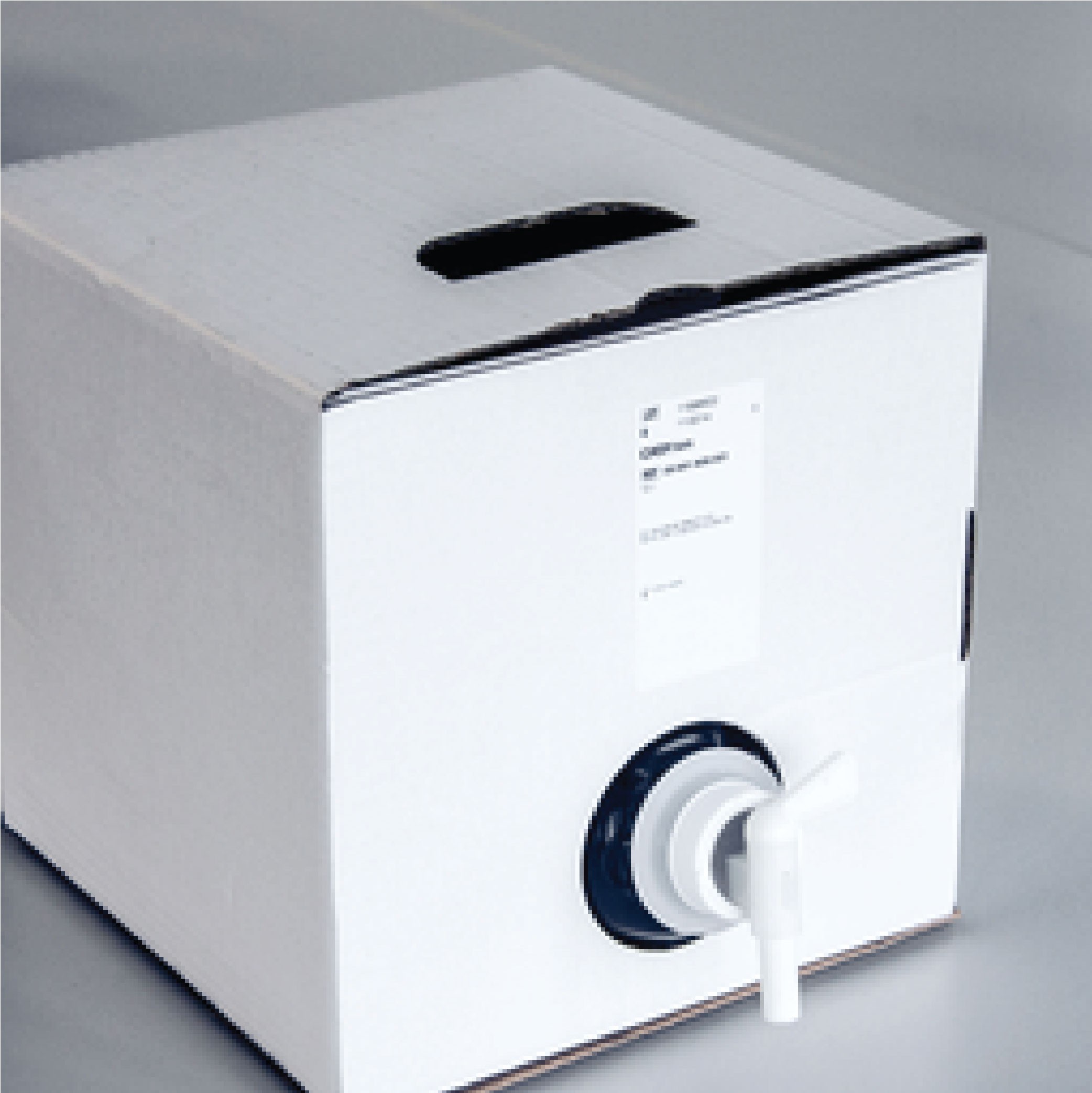CASYton (10-liter container)