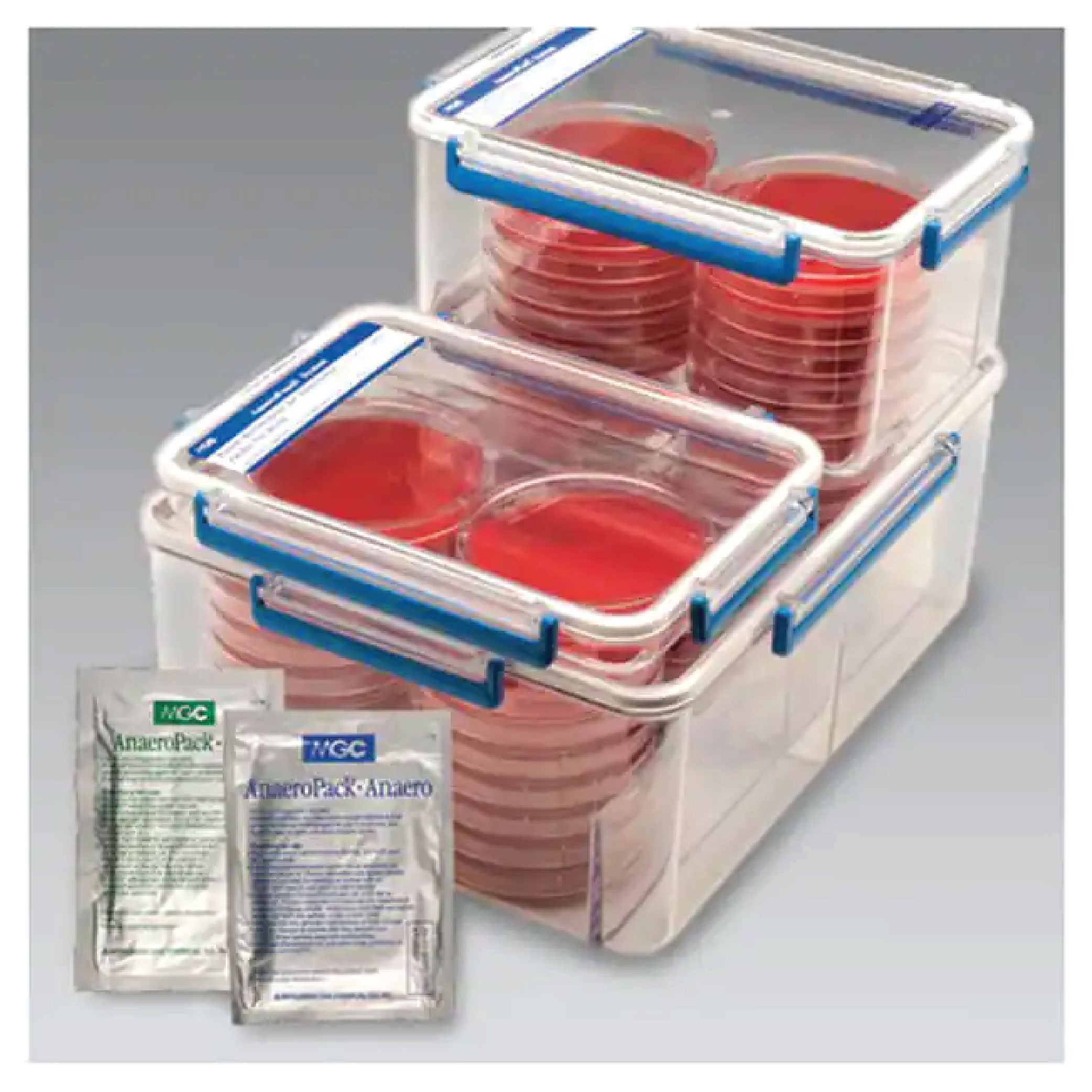 Thermo Scientific™ AnaeroPack™ 7.0L Rectangular Jar