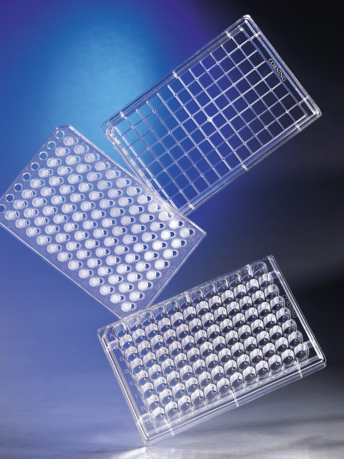 Corning® HTS Transwell®-96 Permeable Support with 0.4 µm Pore Polycarbonate Membrane
