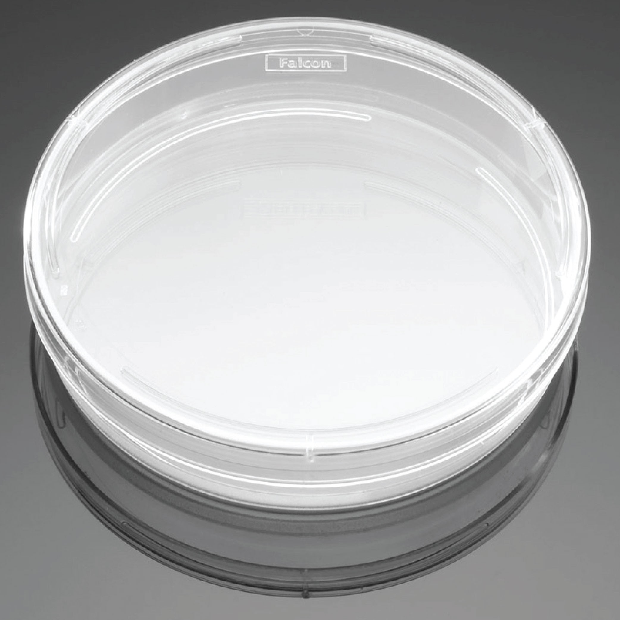 Corning® BioCoat® Collagen I 100 mm TC-treated Culture Dishes