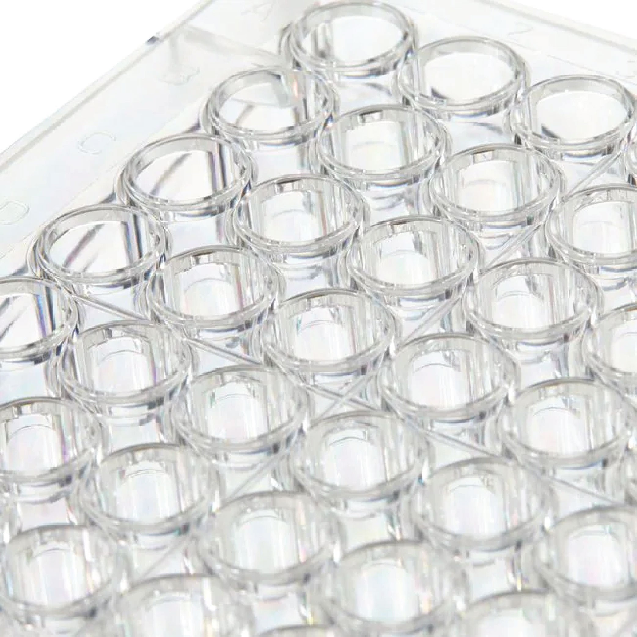 Thermo Scientific™ Clear Flat-Bottom Immuno Nonsterile 96-Well Plates