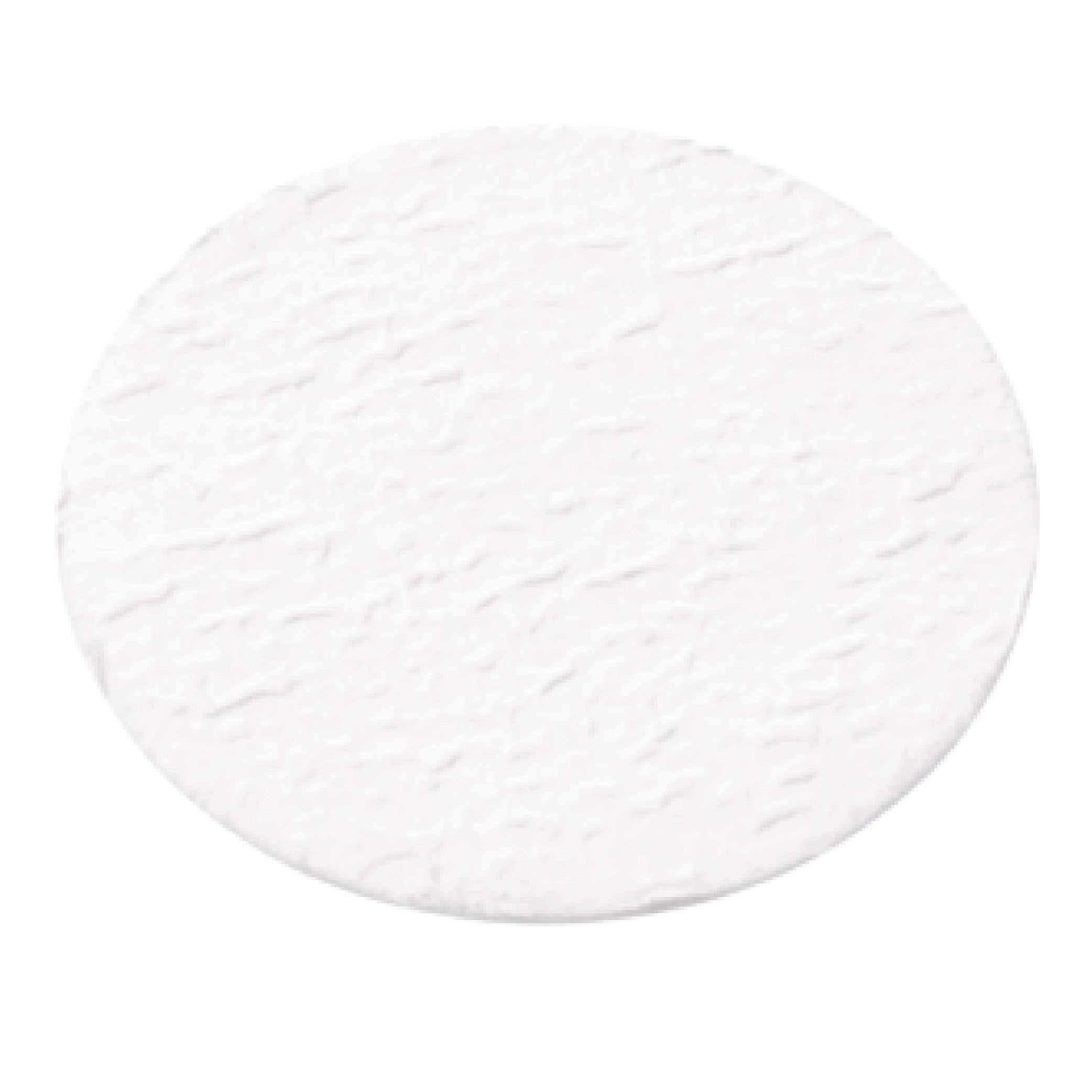 CELLTREAT Glass Fiber Filter Disk, Prefilter, Binder Free, 1.0µm, 50mm Diameter, Sterile