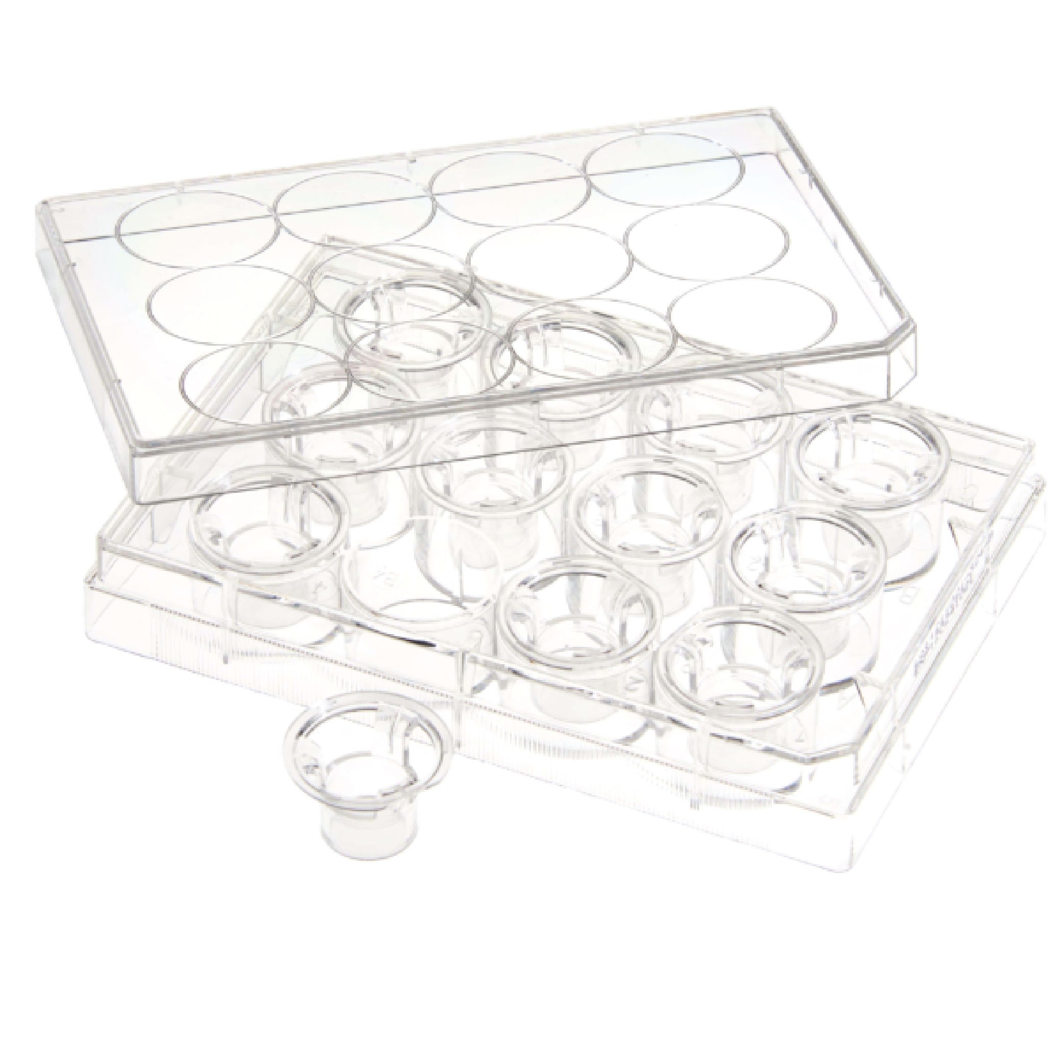 CELLTREAT Permeable Cell Culture Inserts, Packed in 12 Well Plate, PC, 8.0µm, Sterile