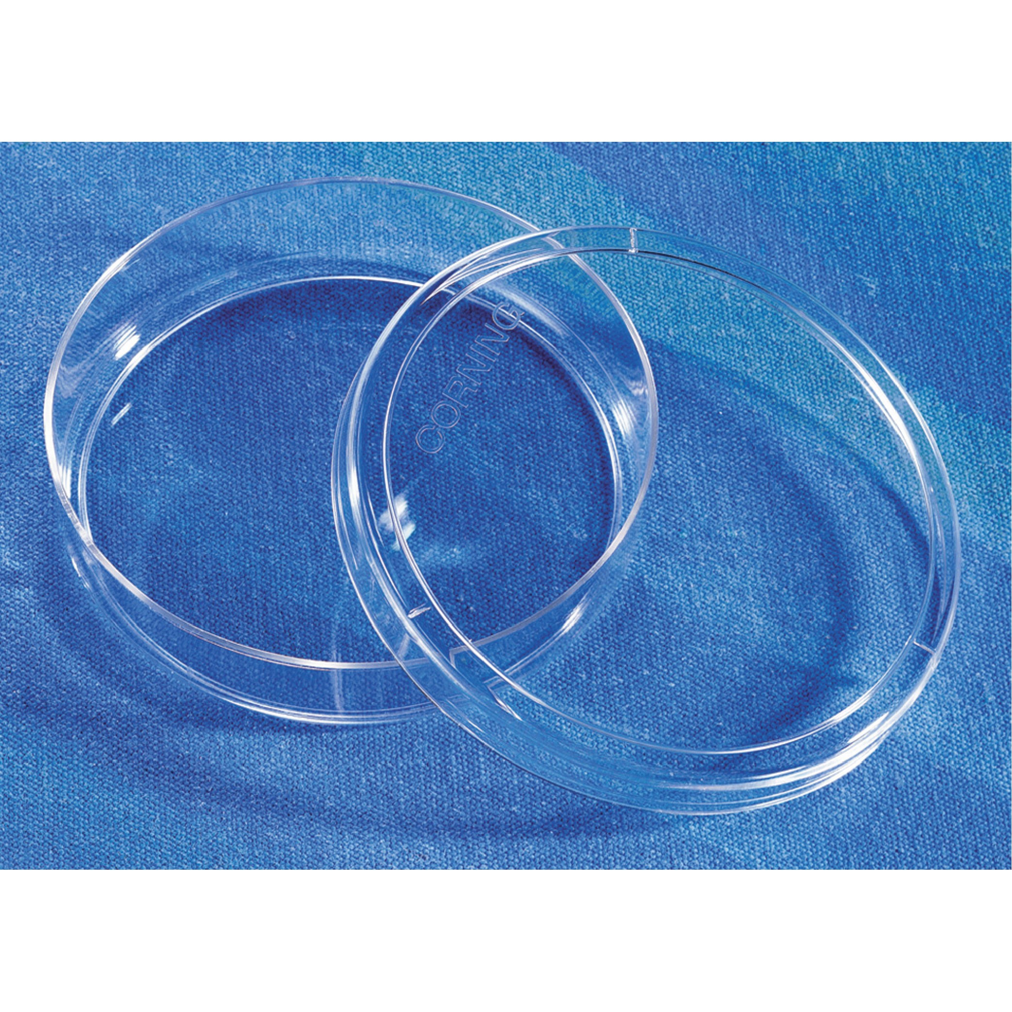 Corning® 3262 Sterile 100 x 20mm Cell Culture Dish, Ultra-Low Attachment Treated Polystyrene