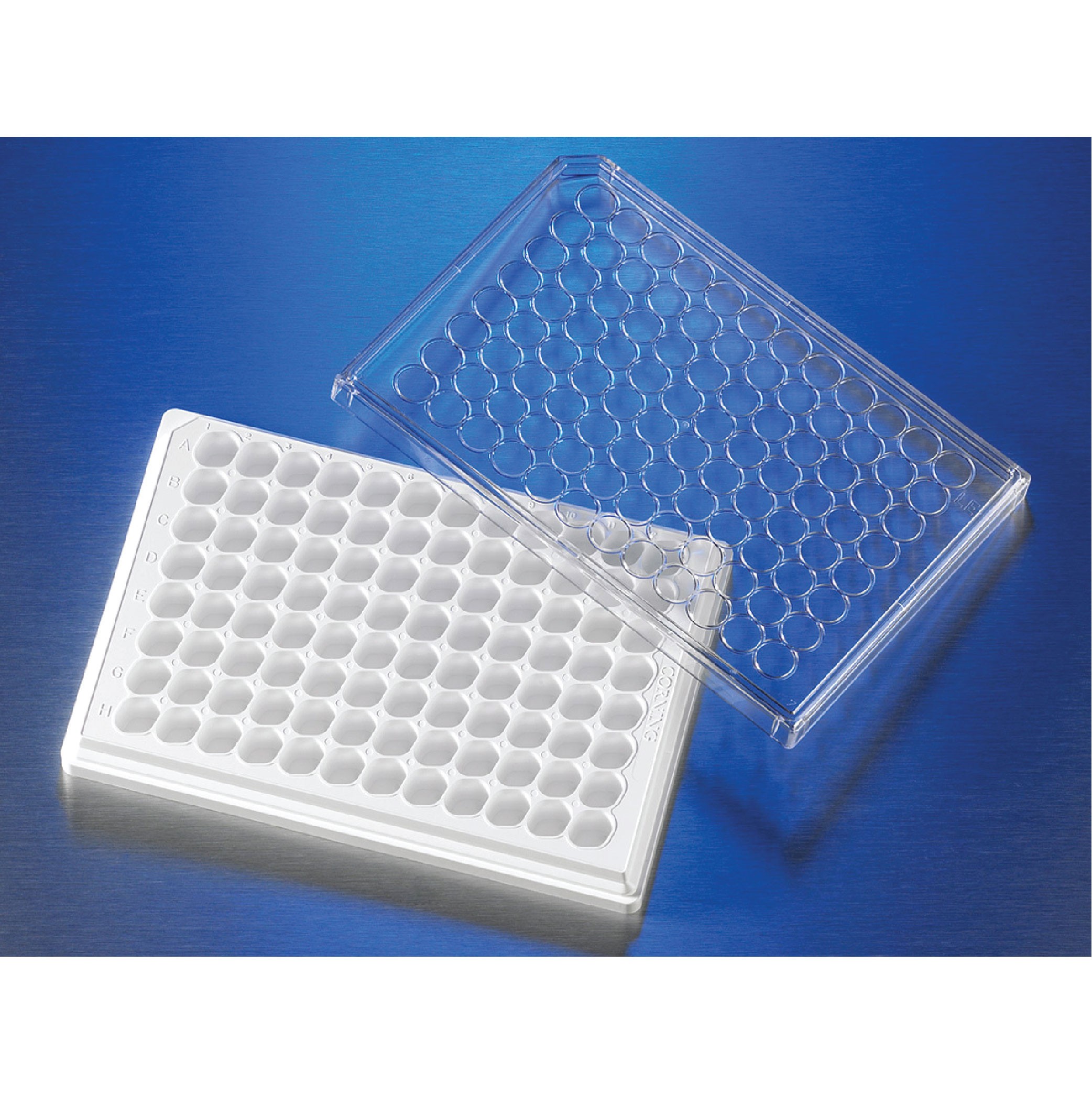 Corning HTS Transwell®-96 Receiver Plate, White, Tissue Culture-treated, Sterile