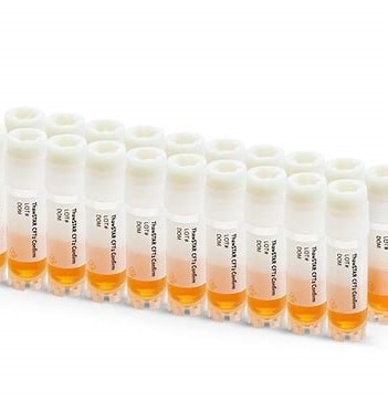 ThawSTAR® CFT2 Confirmation Vials