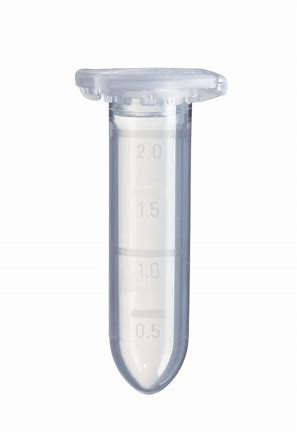 Eppendorf Safe-Lock Tubes