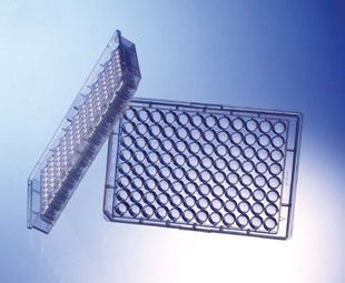 MICROPLATE, 96 WELL, PP, V-BOTTOM
