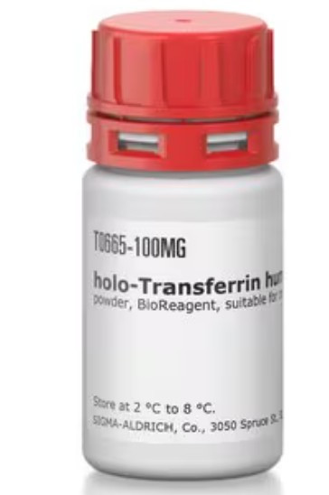 T0665-100MG holo-Transferrin human powder, BioReagent, suitable for cell culture, ≥97%, 100 mg