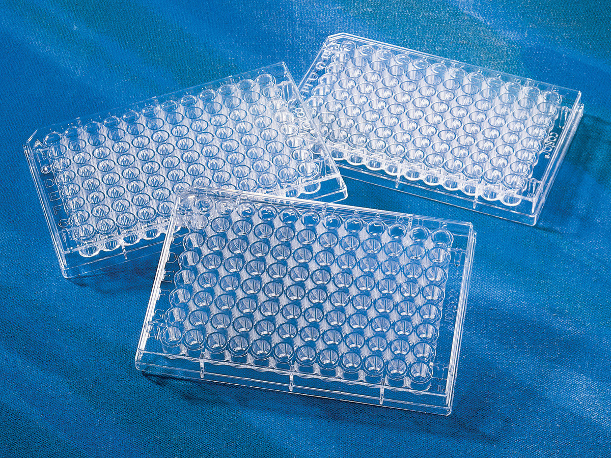 3595 Corning® 96-well Clear Flat Bottom Polystyrene TC-treated Microplate