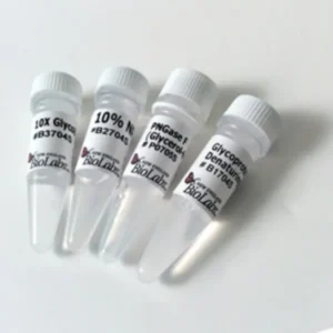New England Biolabs PNGase F (Glycerol-free)